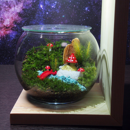 きのこの山【苔テラリウム・手作りキット一式】金魚鉢 テラリウム 工房