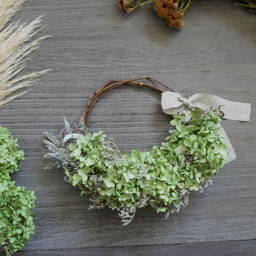 北海道アナベルのドライフラワーリース。ベルギーリネンリボン リース