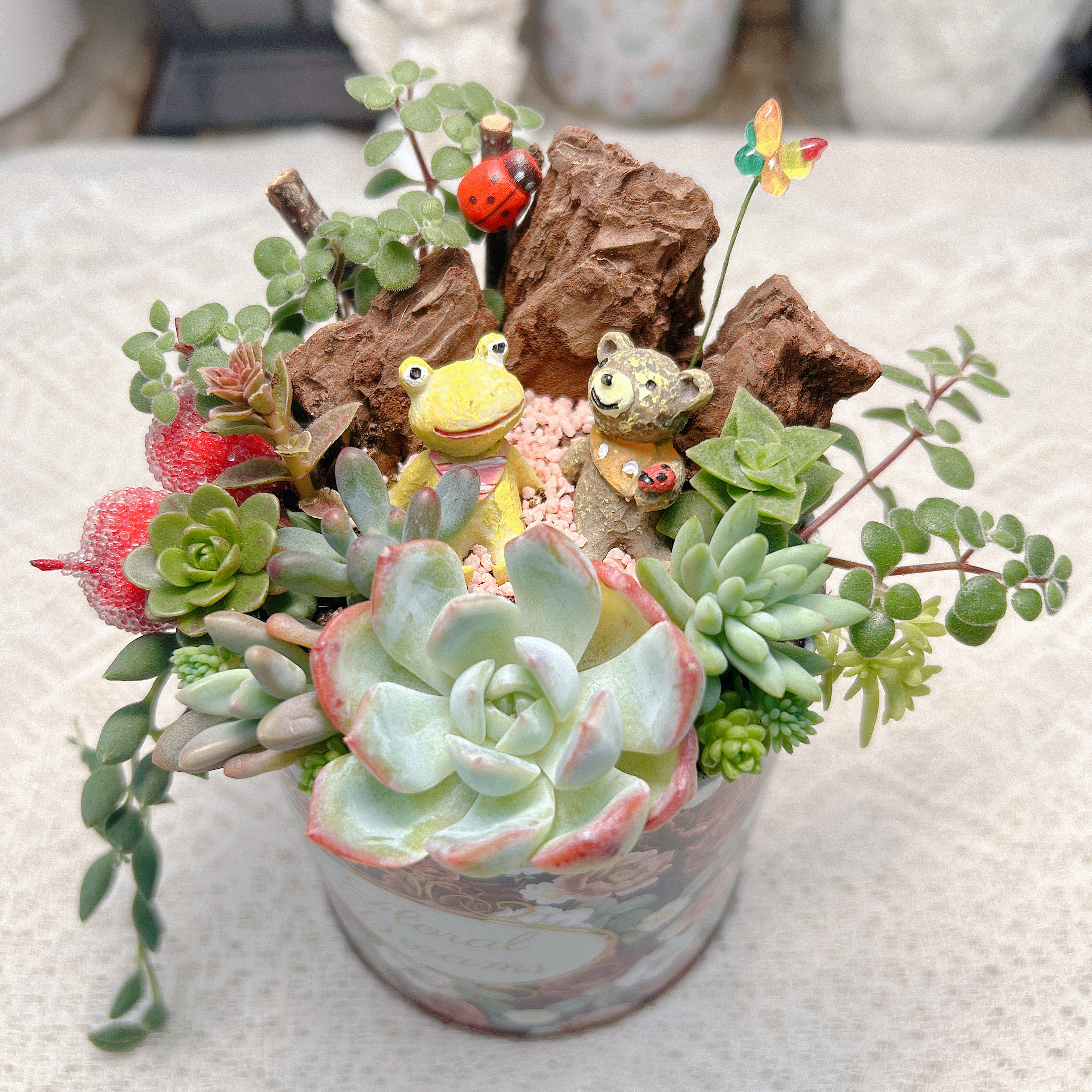 多肉植物寄せ植え♡♡仲良し小鳥さんみんなでお出かけ❤ 【公式通販】