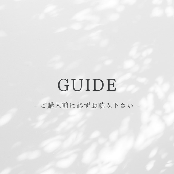 GUIDE 1枚目の画像