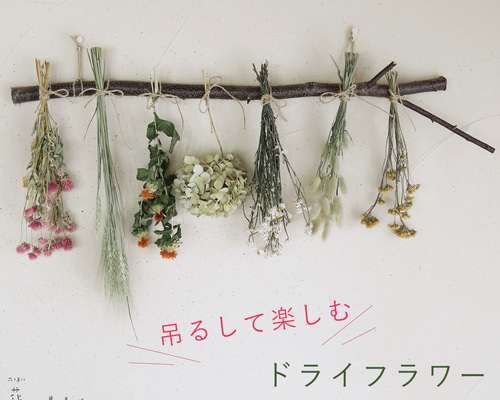 今夏初出荷　アジサイ ドライフラワー ５０本セット 5b513764a920562d463be44e125309