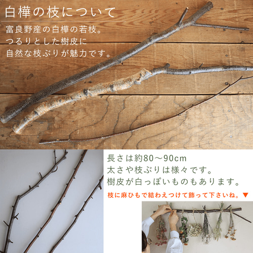 ドライフラワー ♪吊るして楽しむ＊ ドライフラワー7点＆富良野の白樺