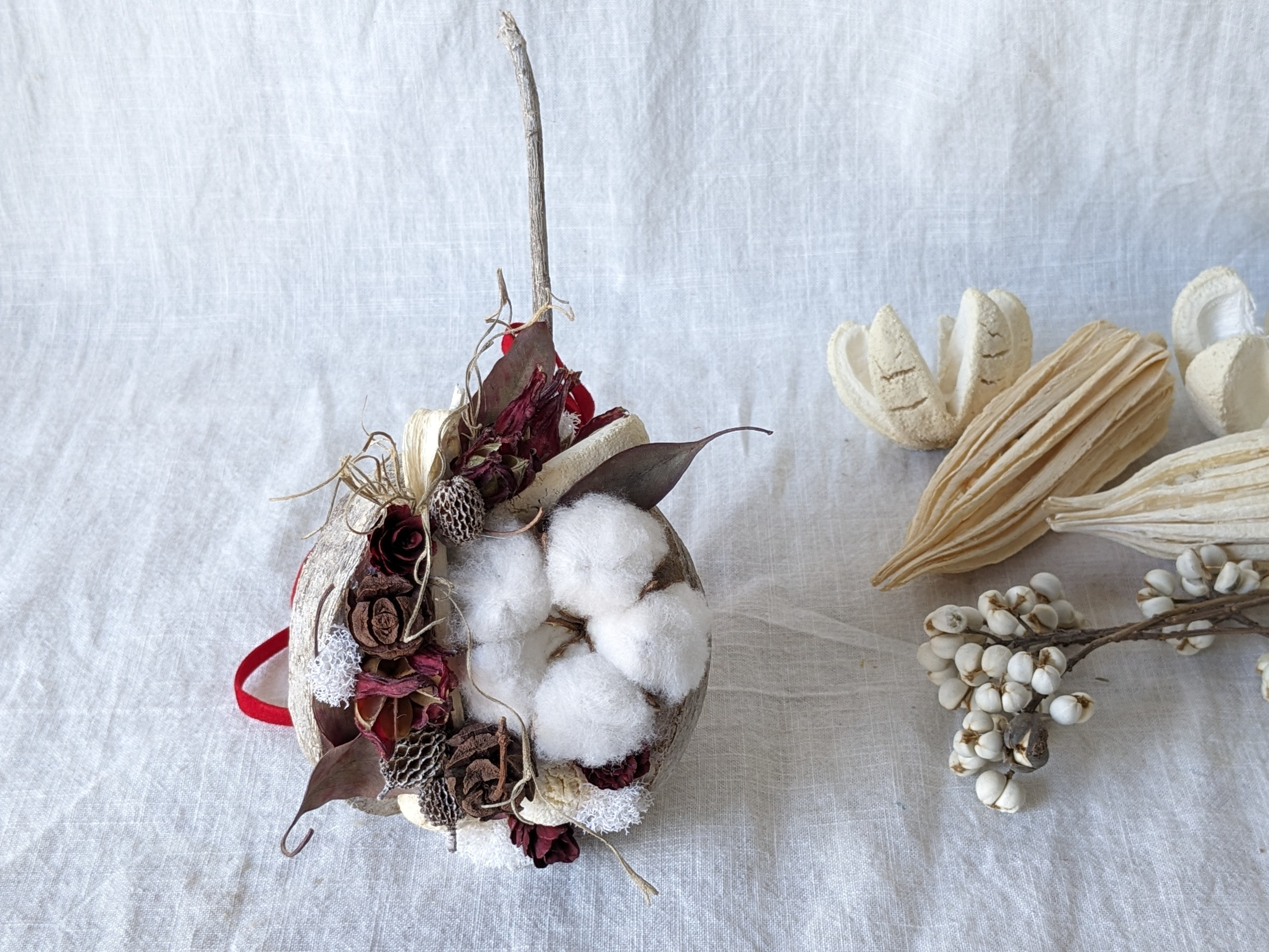 ブッダナッツの飾り◯ブラウンコットン ブッダナッツの飾り◯ブラウンコットン