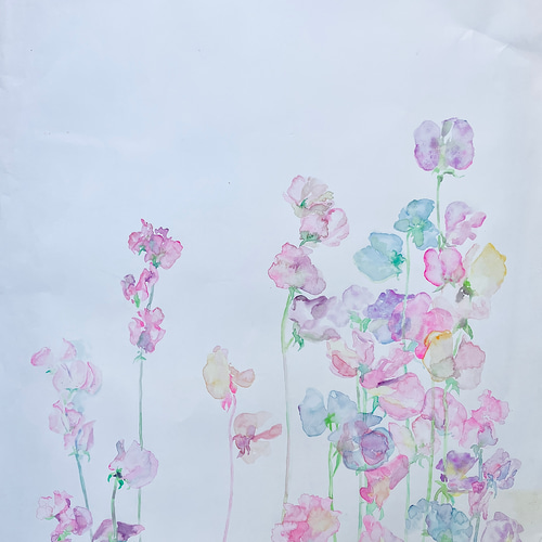 スイトピー 大きな水彩原画」 絵画 miraclepocket 通販 16692359
