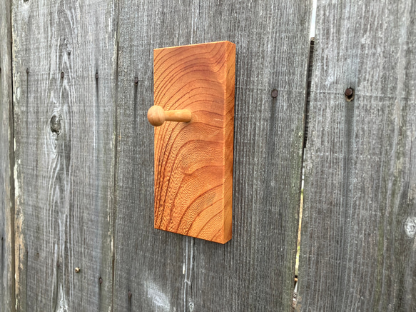 ウォールフック　ケヤキの木 5枚目の画像