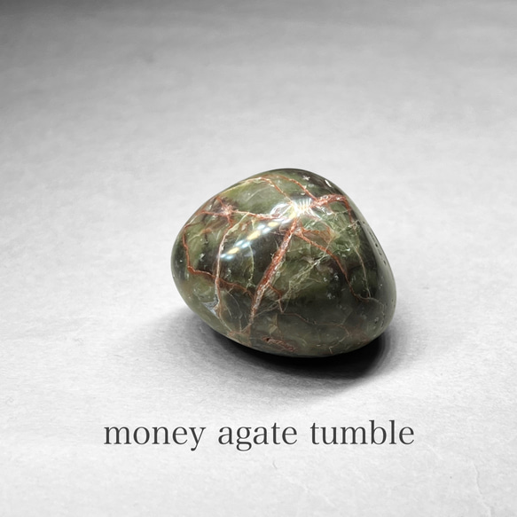 天然石　キリン　マネーアゲート money agate tumble / マネーアゲートタンブル D 天然石 N.st 通販
