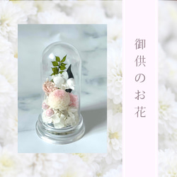 ホワイトピンクの御供花/小さめサイズ/枯れないお花/プリザーブドフラワー 1枚目の画像