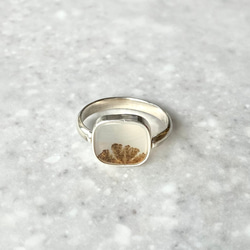 sipilica シピリカ　アゲートリング sipilica シピリカアゲートリング