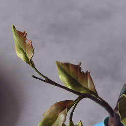 ◆粘土のお花◆　柿 【ロウヤガキ（老爺柿）】【信楽焼】ペティベース・・・高さ22センチ　K879 6枚目の画像