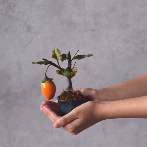 専用 柿の木の盆栽 樹脂粘土 0_6380bd1bca79e51ea9df013ccdb2