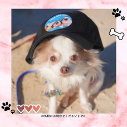 うちの子CAP 愛犬　愛猫　キャップ　オーダーメイド　うちの子　うちの子グッズ　犬　猫　帽子　オリジナル　 5枚目の画像