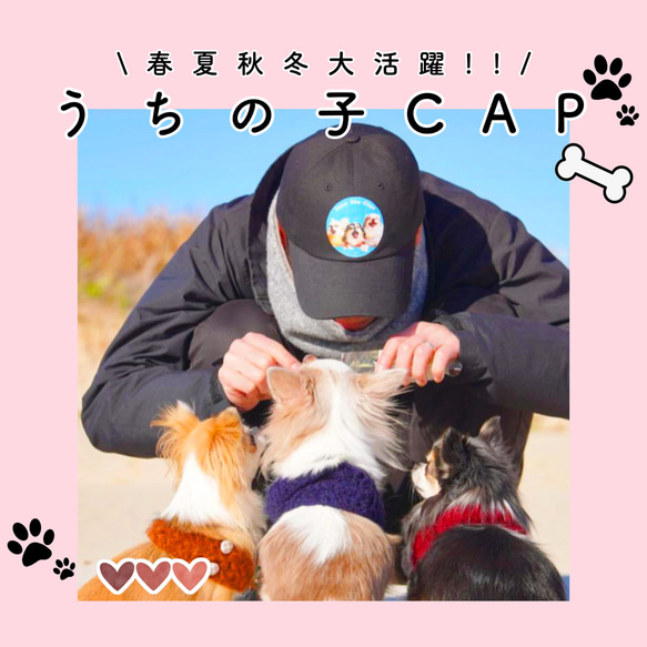 うちの子CAP 愛犬　愛猫　キャップ　オーダーメイド　うちの子　うちの子グッズ　犬　猫　帽子　オリジナル　 1枚目の画像