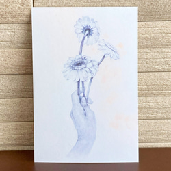 ポストカード　鉛筆で描いたガーベラを差し出す手の絵 1枚目の画像