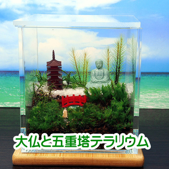 大仏と五重塔【苔テラリウム・手作りキット一式】キューブ テラリウム