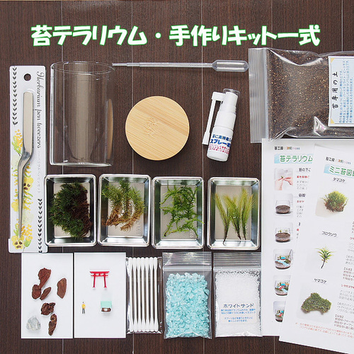 苔神社【苔テラリウム・手作りキット一式】キャニスター テラリウム
