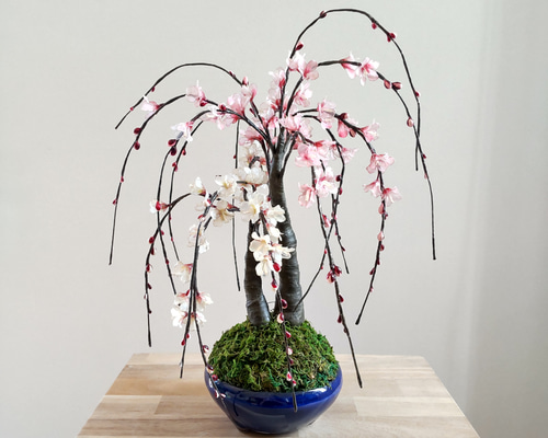 aa709742958af8f53d0a0077ebbaaf