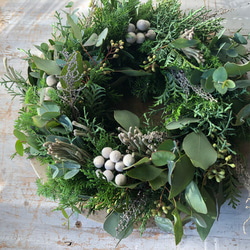 受注制作 】ユーカリとコニファーのフレッシュリース＊* リース Chêne