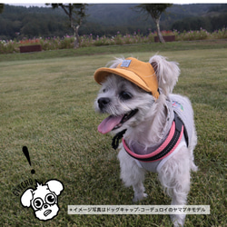 ドッグキャップ-ドッグキャップ-インディゴ　パッチワークカード（耳出し）犬用帽子 15枚目の画像