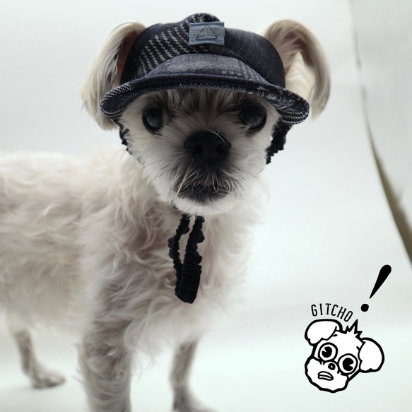 しいちゃん ALL ITEM – CRAMMY