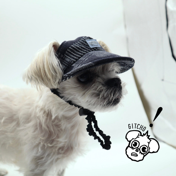 ドッグキャップ-ドッグキャップ-インディゴ　パッチワークカード（耳出し）犬用帽子 12枚目の画像