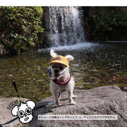 ドッグキャップ-ドッグキャップ-インディゴ　パッチワークカード（耳出し）犬用帽子 17枚目の画像