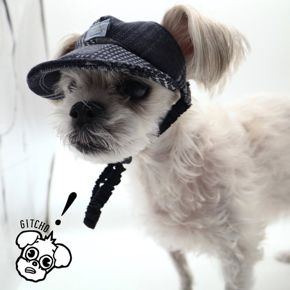 ドッグキャップ-ドッグキャップ-インディゴ　パッチワークカード（耳出し）犬用帽子 9枚目の画像