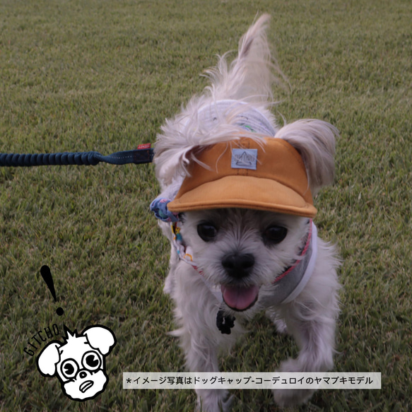 ドッグキャップ-ドッグキャップ-インディゴ　パッチワークカード（耳出し）犬用帽子 16枚目の画像