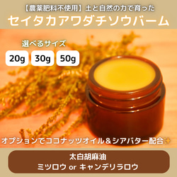 【大容量！！】セイタカアワダチソウ　乾燥　1kg パック個包装 素材パック】背高泡立草 大容量1kg セイタカアワダチソウ 薬湯