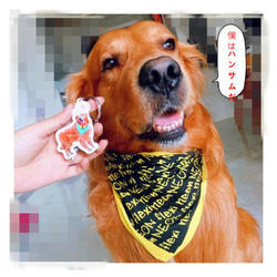 アクリルキーホルダー　動物　ペット　犬　猫　記念　インテリア　画像　写真　プレゼント　メモリアル 3枚目の画像