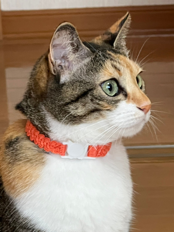 猫の首輪　オレンジ系　セーフティーバックル　模様編み 4枚目の画像