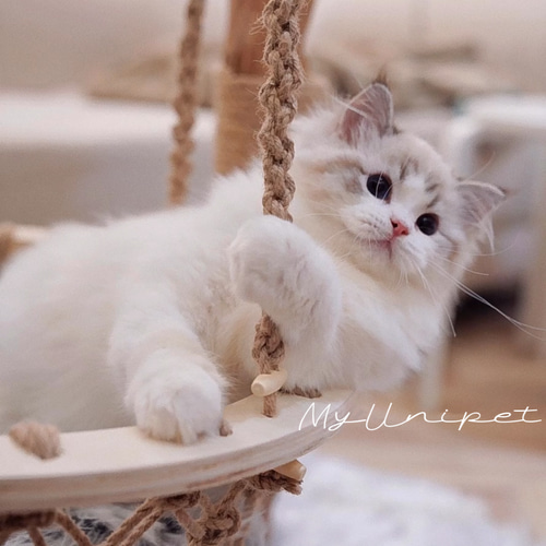 雲にのる】無垢材キャットタワー猫の揺りかご 北欧風 木製 天然木