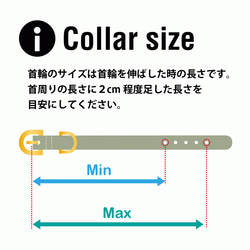 防水首輪 BiColorGold Biothane素材 名入れ 18枚目の画像