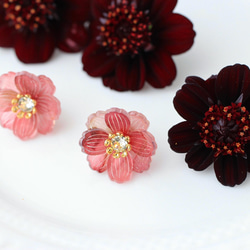 盛開的花朵「秋櫻花」製成的耳環【巧克力】 第2張的照片