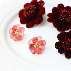 盛開的花朵「秋櫻花」製成的耳環【巧克力】 第3張的照片