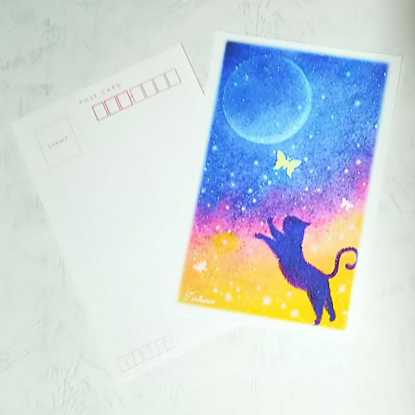 月夜の猫　絵葉書2枚　パステルアート　ポストカード 3枚目の画像
