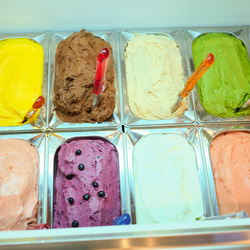 《送料込》ジェラート 8個セット PRIGELA  五島列島  専門店 アイスクリーム 2枚目の画像
