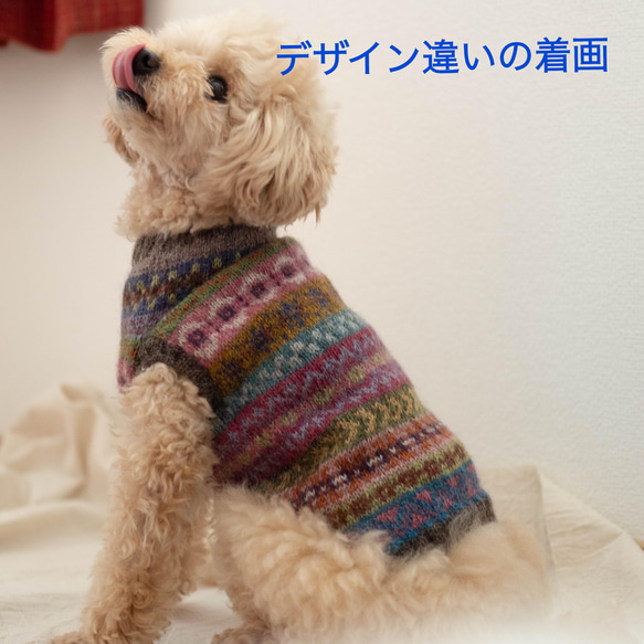 お値下げ！★犬服♪本格的フェアアイルセーター　一点物！カラフルなウール100％手編みセーター　小型犬用　⑦ 8枚目の画像