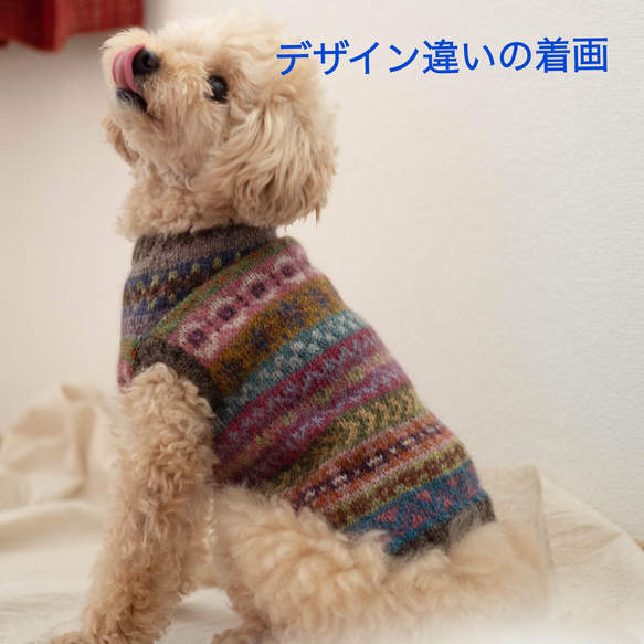 お値下げ！★犬服♪引き的フェアアイルセーター　一点物！カラフルなウール100％手編みセーター　小型犬用⑧⑧ 7枚目の画像