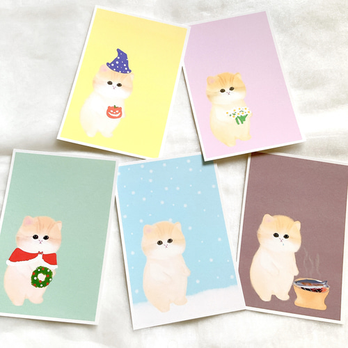 コネ猫 5枚ポストカード はがき かわいい イラスト デザイン