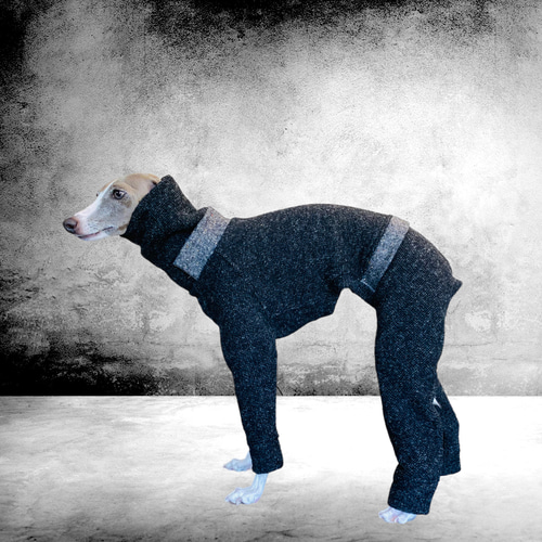 ミニピン、ミニピンを纏うイタグレ、イタグレを纏う