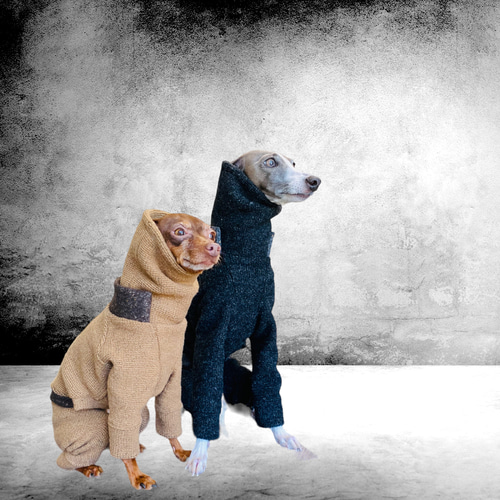 ミニピン、ミニピンを纏う　　　　　　イタグレ、イタグレを纏う ミニピン、ミニピンを纏うイタグレ、イタグレを纏う