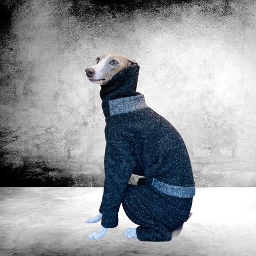 ミニピン＊イタグレ】イタリアからのウールニット限定オーダー ペット