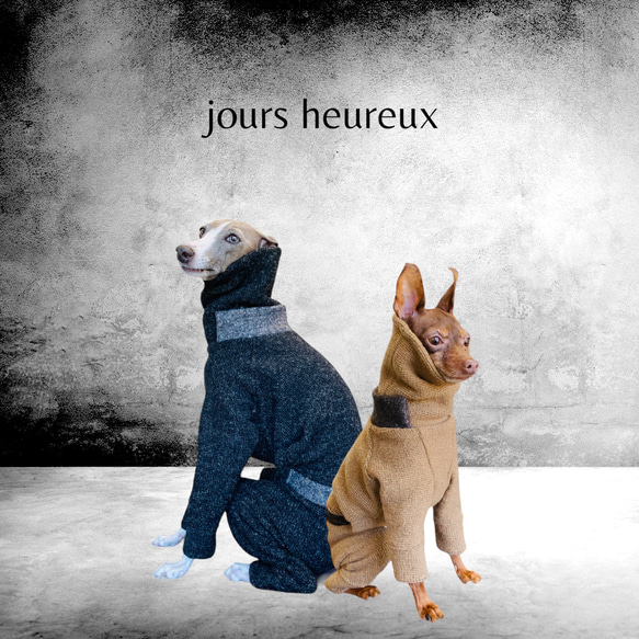 ミニピン＊イタグレ】イタリアからのウールニット限定オーダー ペット