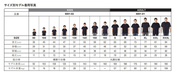  第6張的照片