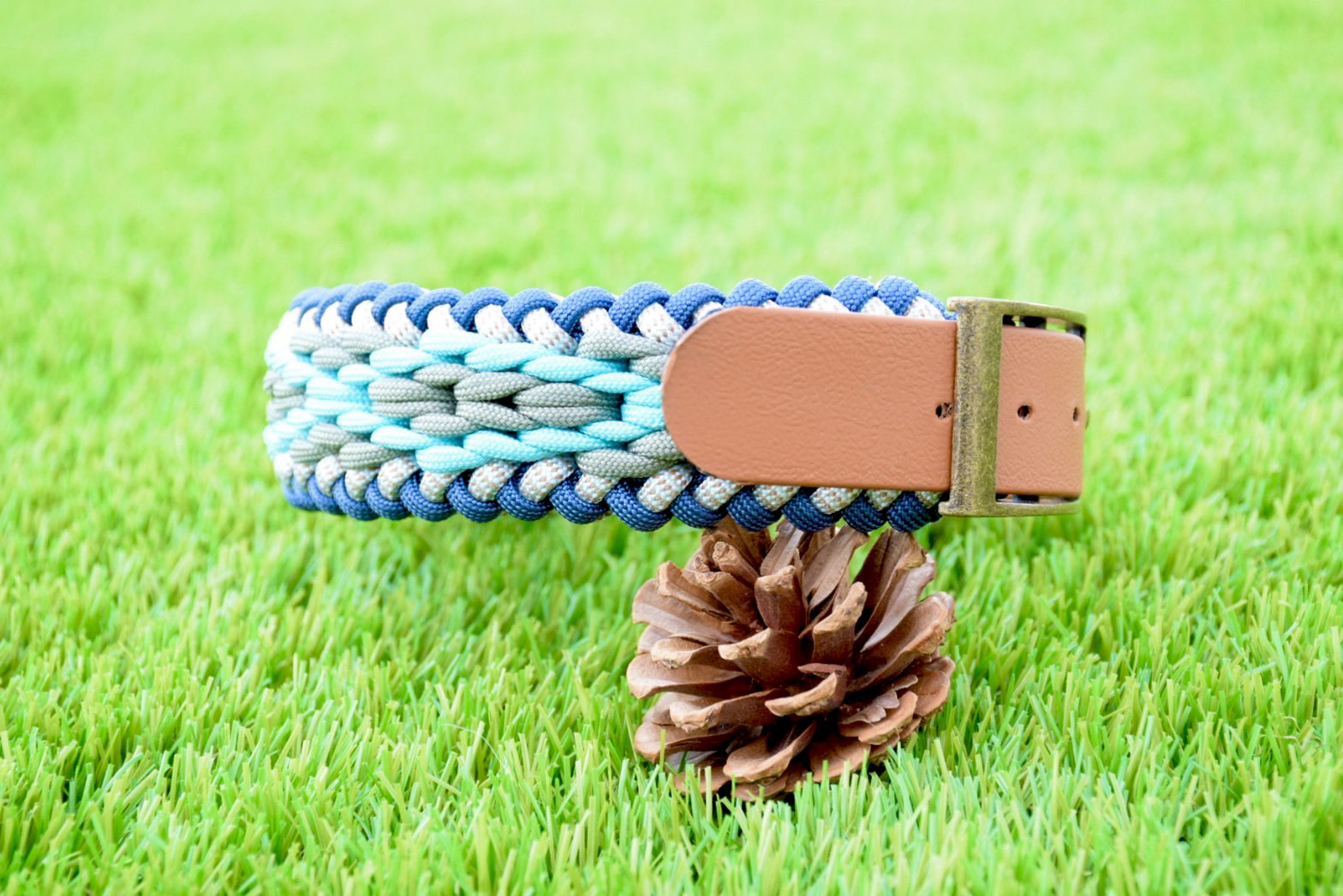 ブルーカラー ベルト式首輪