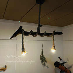 流木インテリア 大きなコブのある古木風な天然流木のシーリングライト ペンダントライト LED ランプ 照明器具 N2 8枚目の画像