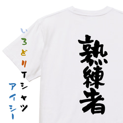 ポジティブ系半袖Tシャツ【熟練者】おもしろTシャツ　ネタTシャツ 1枚目の画像