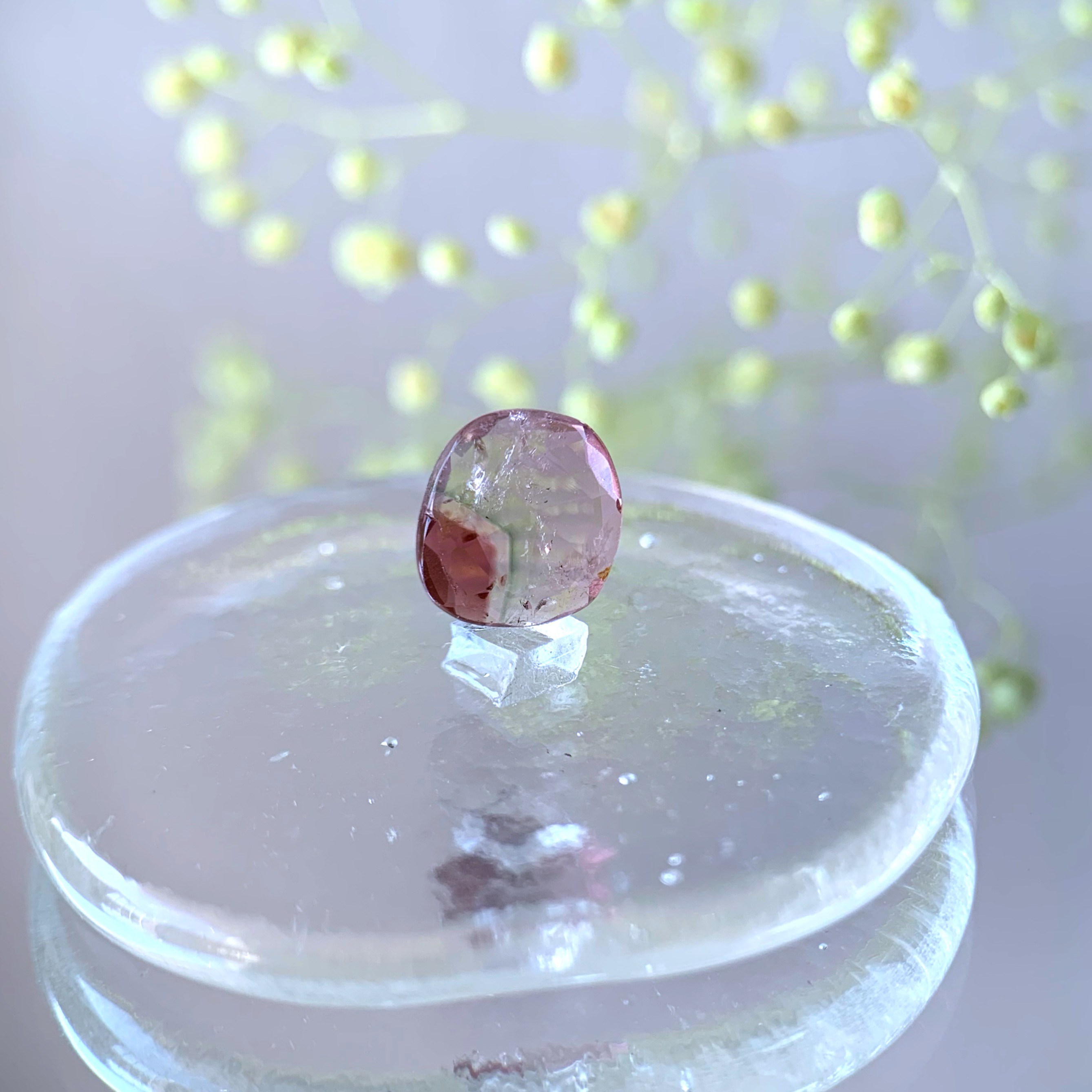 【受注制作】小粒　バイカラートルマリン　silver ring（a）