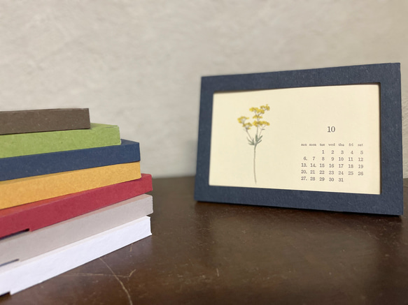 [ ichirin -nonohana-] ２０２４年活版印刷カレンダー　季節の草花一輪。野の花　[カミモノ研究所］ 8枚目の画像