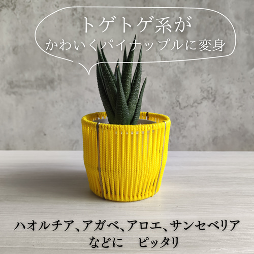 プランターカバー 2号】パイナップル イエロー（真鍮 × パラコード